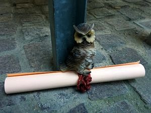 Sie haben Post Eule